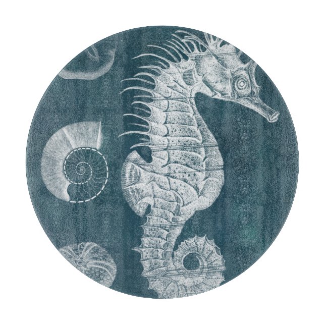 Azure Seahorse Study I (Framsidan)