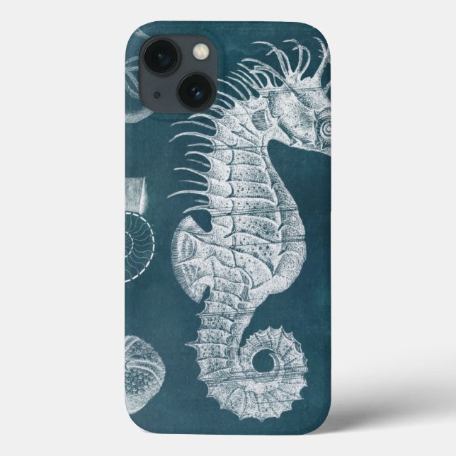 Azure Seahorse Study I (Baksida)