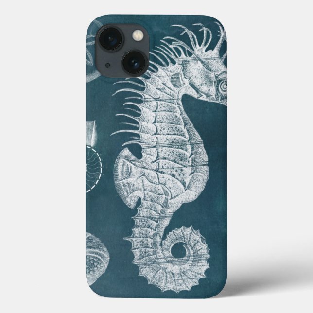 Azure Seahorse Study I (Baksida)