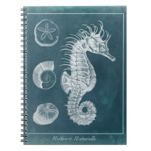 Azure Seahorse Study I Anteckningsbok Med Spiral