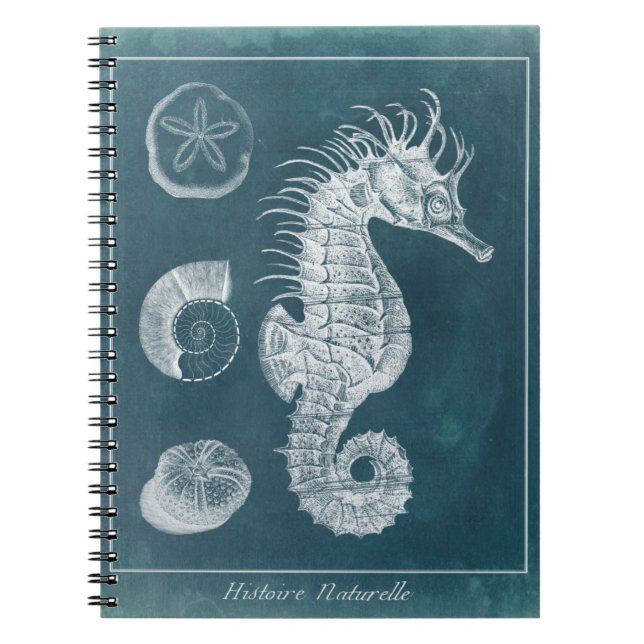 Azure Seahorse Study I Anteckningsbok Med Spiral (Framsidan)