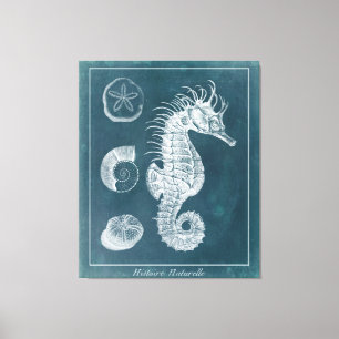 Azure Seahorse Study I Canvastryck