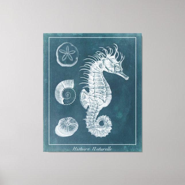 Azure Seahorse Study I Canvastryck (Framsida)