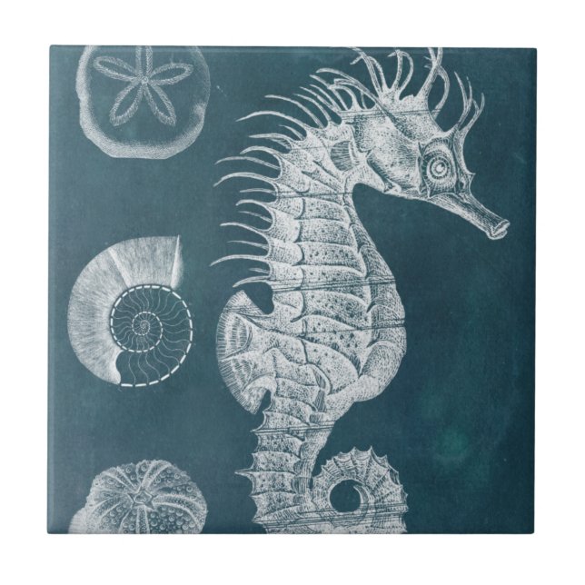 Azure Seahorse Study I Kakelplatta (Framsidan)