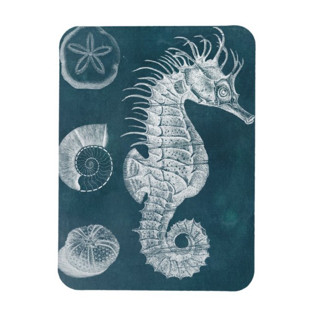 Azure Seahorse Study I Magnet (Vertikal)