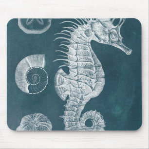 Azure Seahorse Study I Musmatta
