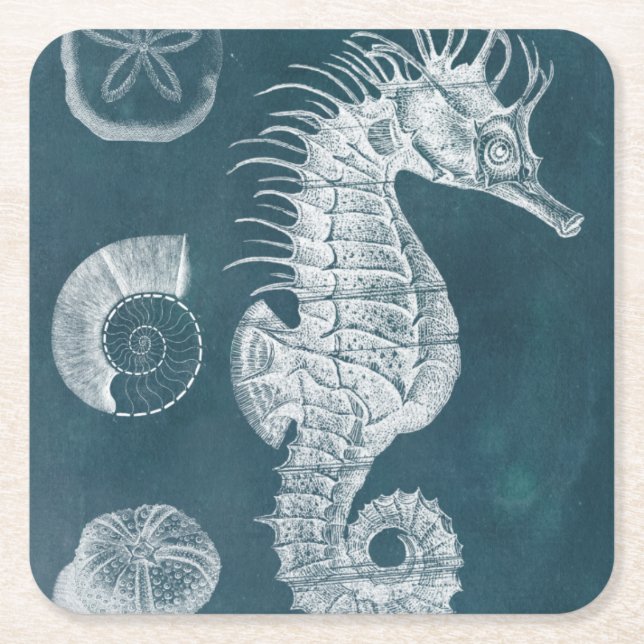 Azure Seahorse Study I Underlägg Papper Kvadrat (Framsidan)