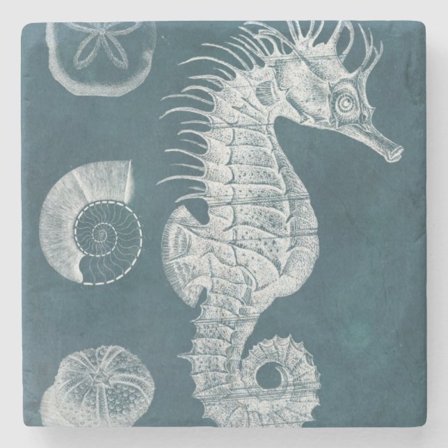 Azure Seahorse Study I Underlägg Sten (Framsidan)