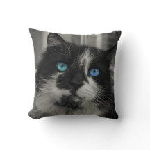 Azure Soul Svart Katt Blå Ögon Kastkudde