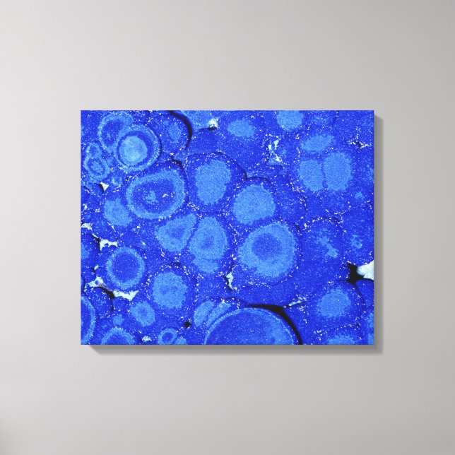 Azurite, en kopparmalm, Arizona, Förenta staterna Canvastryck (Framsida)
