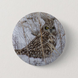 B11 Uggla med Kort Knapp