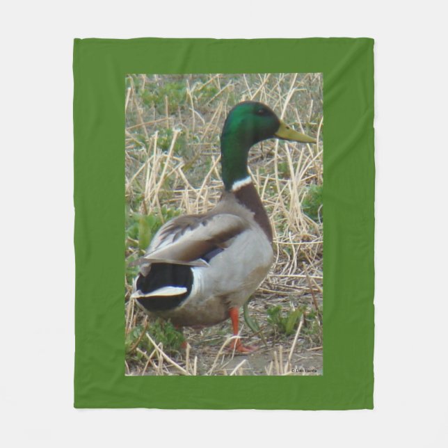 B12 Gräsand Drake Fleecefilt (Framsidan)