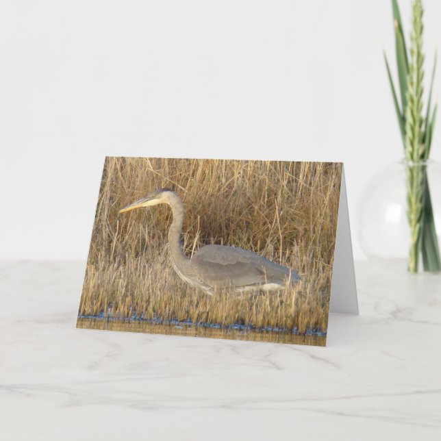 B19 Juvenile Blue Heron Kort (Framsida)