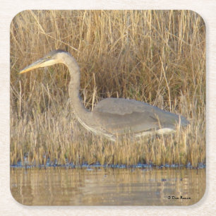 B19 Juvenile Blue Heron Underlägg Papper Kvadrat