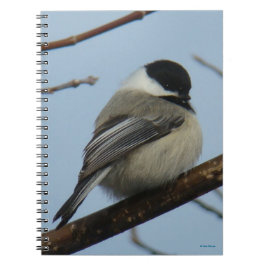 B21 Svart, kapslad chickadee Anteckningsbok