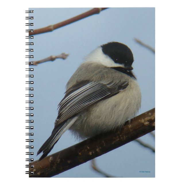 B21 Svart, kapslad chickadee Anteckningsbok (Framsidan)