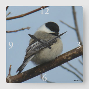 B21 Svart, kapslad chickadee Fyrkantig Klocka