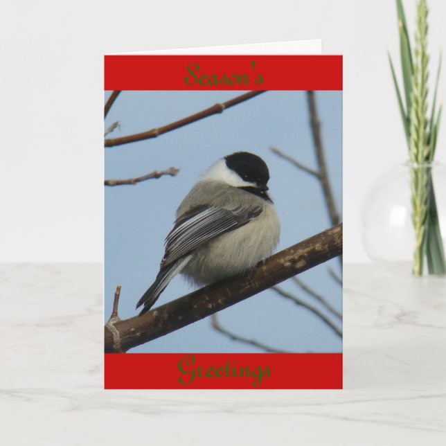 B21 Svart, kapslad chickadee Helgkort (Framsida)
