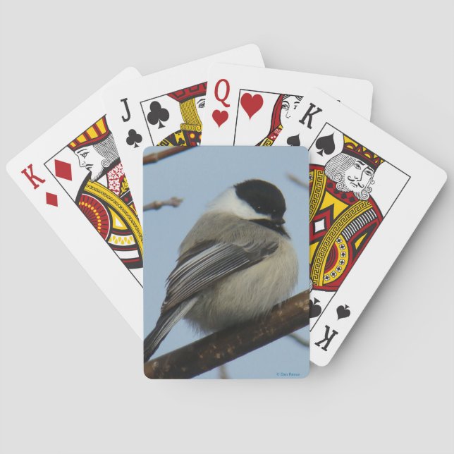 B21 Svartkronad mes Casinokort (Baksidan)