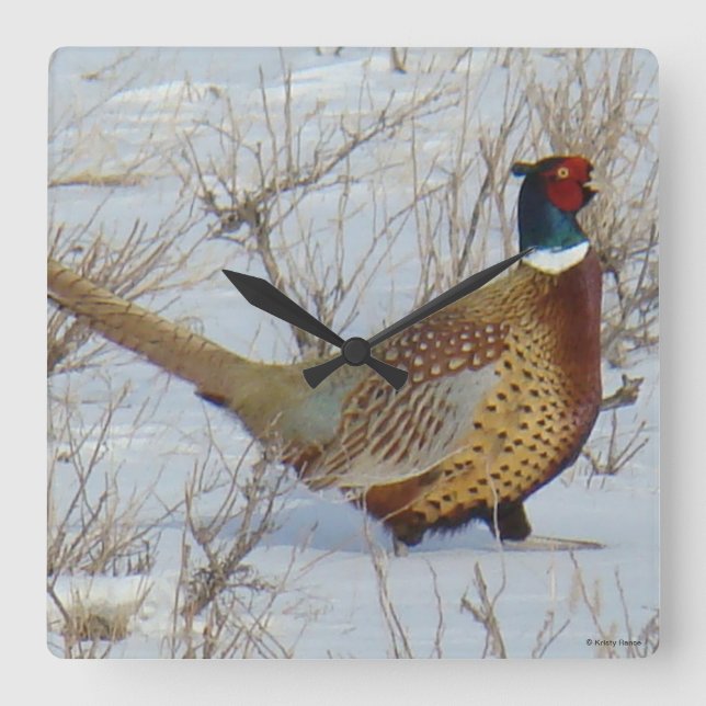 B22 Ring-halsad fasan i Snö Fyrkantig Klocka (Framsida)