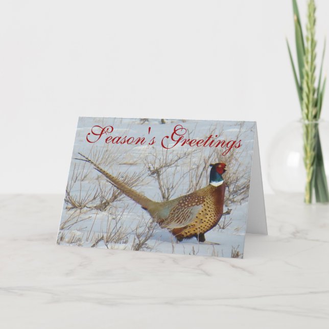 B22 Ring-hånglad Pheasant Helgkort (Framsida)
