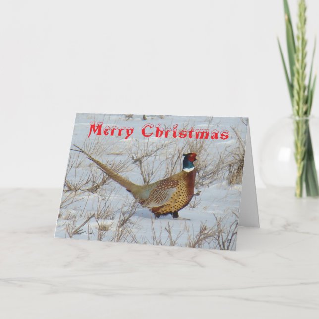 B22 Ring-Necked Pheasant in Snow Christmas Card Helgkort (Framsida)