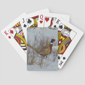 B23 Fasan i snö Casinokort