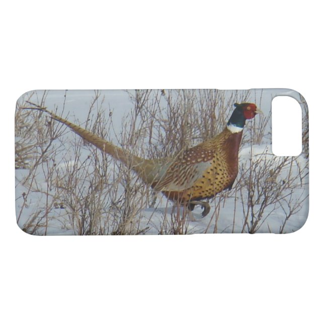 B23 Ring-hånglad Pheasant i snö Case-Mate iPhone Skal (Baksida (horisontal))