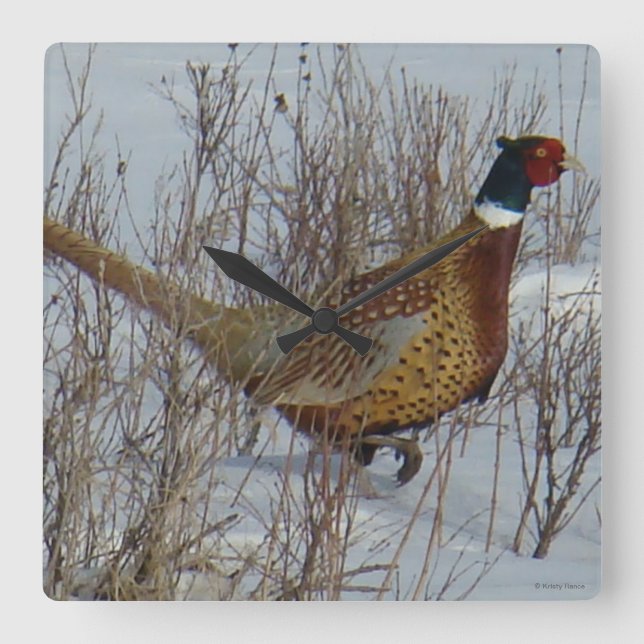 B23 Ring-hånglad Pheasant i snö Fyrkantig Klocka (Framsida)