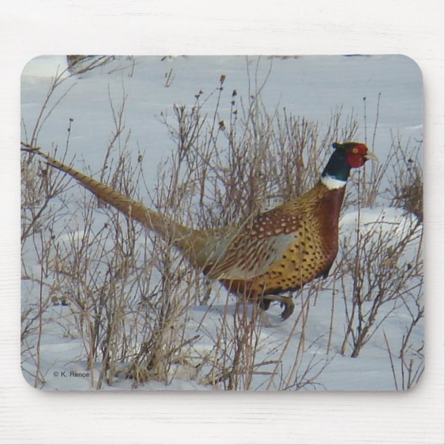 B23 Ring-hånglad Pheasant i snö Musmatta (Framsidan)