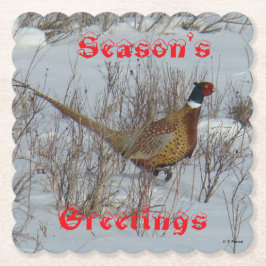 B23 Ring Necked Pheasant in Snow Coaster Underlägg Papper