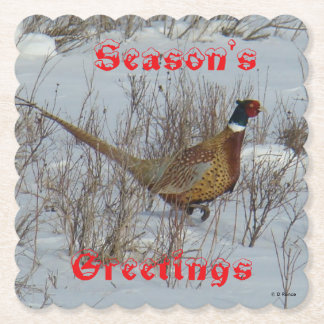 B23 Ring Necked Pheasant in Snow Coaster Underlägg Papper