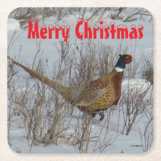 B23 Ring Necked Pheasant in Snow Coaster Underlägg Papper Kvadrat