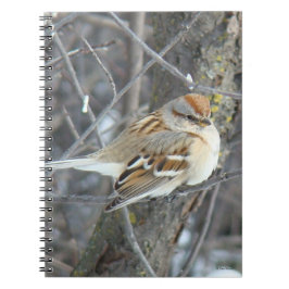 B24 gemensam Sparrow Anteckningsbok