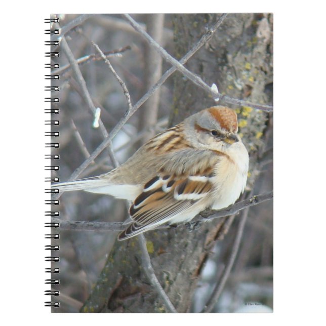 B24 Gråsparv Anteckningsbok (Framsidan)