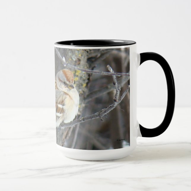 B24 Gråsparv Mugg (Höger)