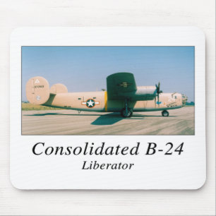 B24 MUSMATTA