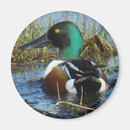 B25 Nordstövlare Magnet