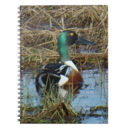 B26 Norra Shoveler Drake Anteckningsbok