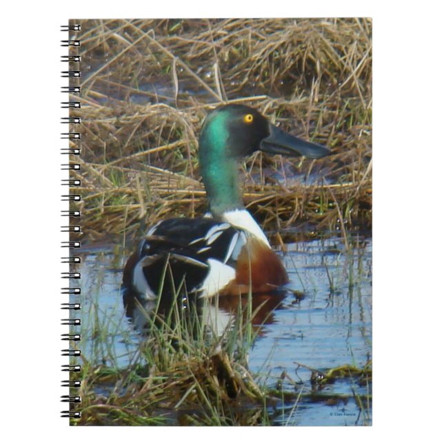 B26 Norra Shoveler Drake Anteckningsbok (Framsidan)
