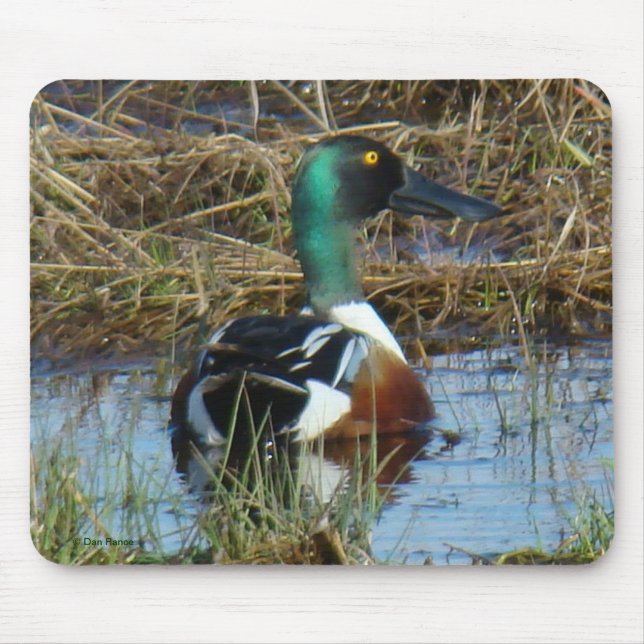 B26 Skedandrake Musmatta (Framsidan)