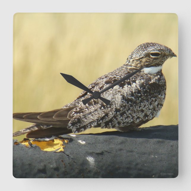 B29 Nattskärra Fyrkantig Klocka (Framsida)