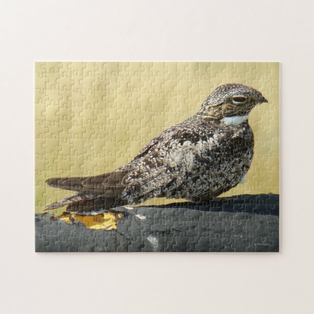 B29 Nattskärra Pussel (Horisontell)