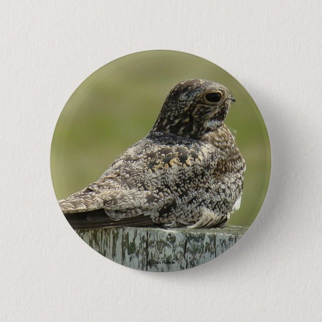 B2 Nighthawk Knapp (Framsida)