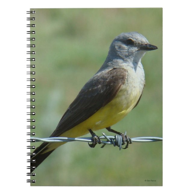 B31 Western Kingbird Anteckningsbok (Framsidan)
