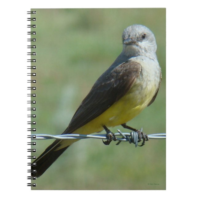B32 Western Kingbird Anteckningsbok (Framsidan)