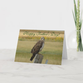 B33 Swainsons Hawk Kort