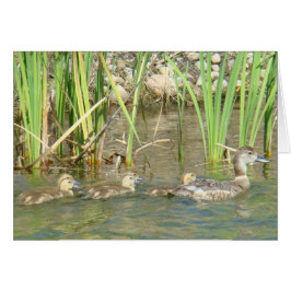 B34 Mor Anka och Ducklings Hälsningskort