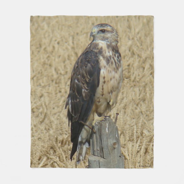 B36 Ferruginous Hawk in Wheat Fält Fleecefilt (Framsidan)