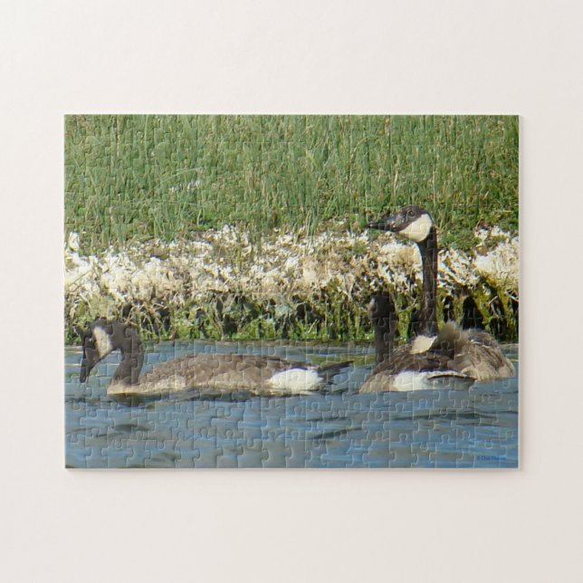 B37 Canadian Geese Puzzle Pussel (Horisontell)